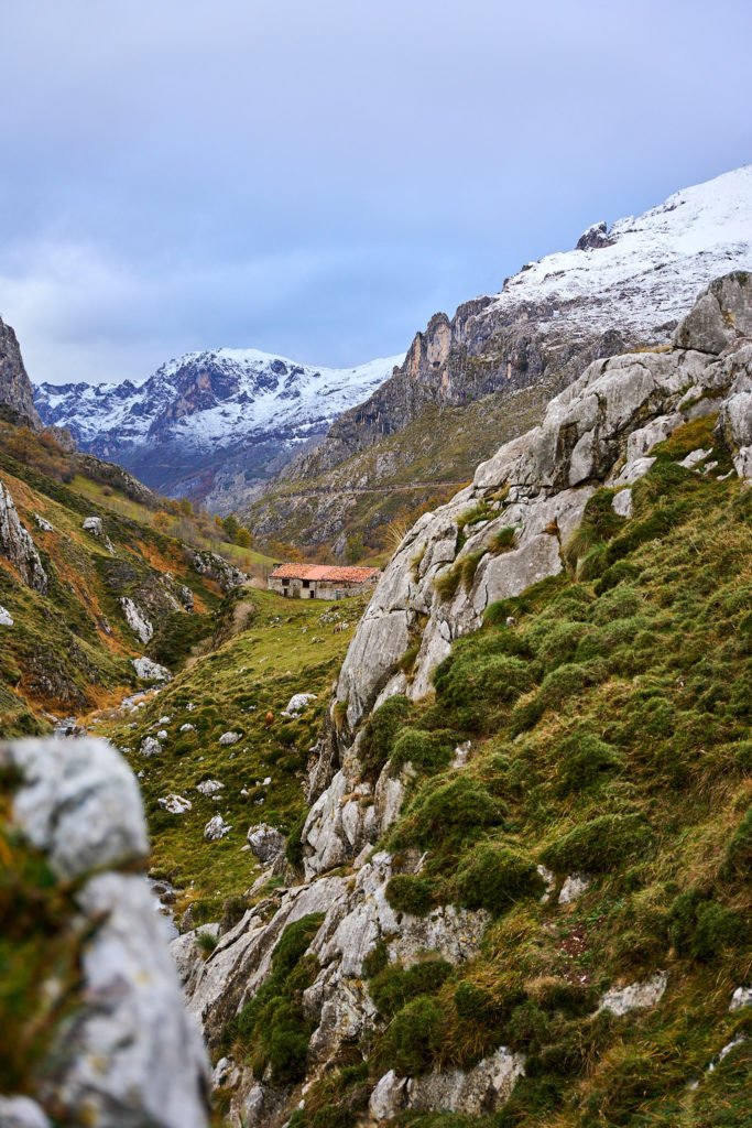 Los Picos de Europa